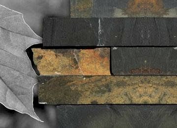 Arduvaz Ta 7 Arduvaz Ta 7