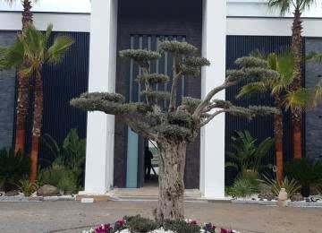 Kayrak taşı Kayrak taşı duvar kaplama