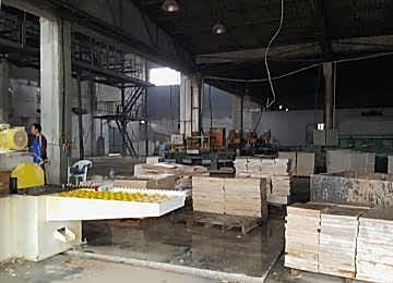 Kayraktasi Kesim Kayraktasi Kesim