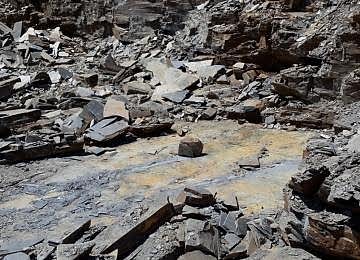 20130730 122606 20130730 122606