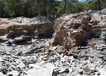 20130730 122609 20130730 122609