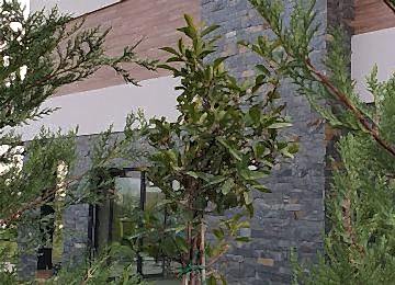 Kayrak Tasi 11 Kayrak Tasi 11