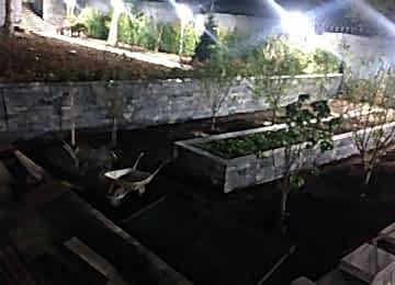 Whatsapp Image 2021 07 03 At 12.46.10 2 Whatsapp Image 2021 07 03 At 12.46.10 2