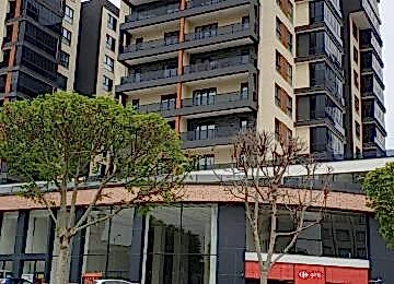 Whatsapp Image 2021 07 03 At 12.46.10 Whatsapp Image 2021 07 03 At 12.46.10