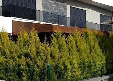 Whatsapp Image 2021 07 03 At 12.50.57 Whatsapp Image 2021 07 03 At 12.50.57