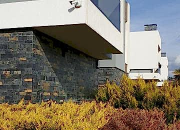 Whatsapp Image 2021 07 03 At 12.50.58 1 Whatsapp Image 2021 07 03 At 12.50.58 1