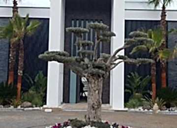 Whatsapp Image 2021 07 03 At 12.51.01 2 Whatsapp Image 2021 07 03 At 12.51.01 2