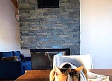 Şömine kayrak taşı ustası