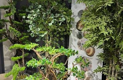 025c6e18 038a 4b88 B73f 8fd2270d6860