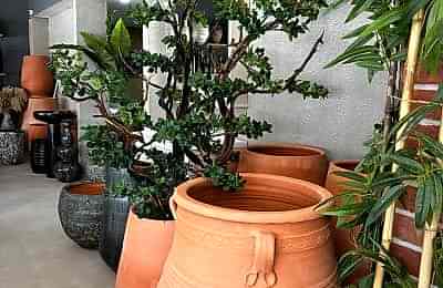 2eb2fc15 72b4 4fee 9f84 13fb2c2576a9