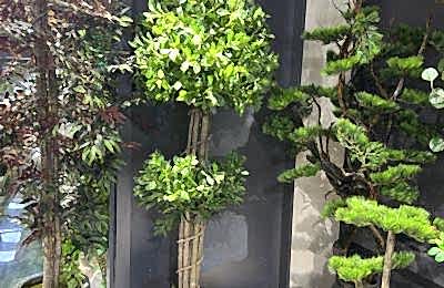 3a452558 4af6 46bc 8cad 994ef9b6a394