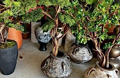 E9247d52 6600 45e6 B4c2 Fbe8de89b831